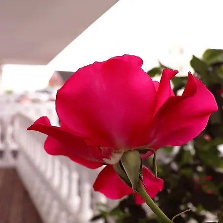 Διαμέρισμα Mit Meerblick Und Terrasse - Nur 50 Meter Zum - Inklusive Eigenem Parkplatz Und Fahrradunterstellplatz